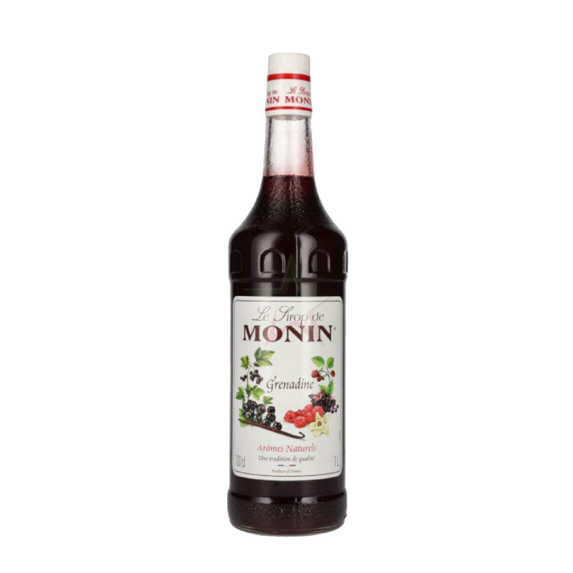 SCIROPPO MONIN GRANATINA 100cl image